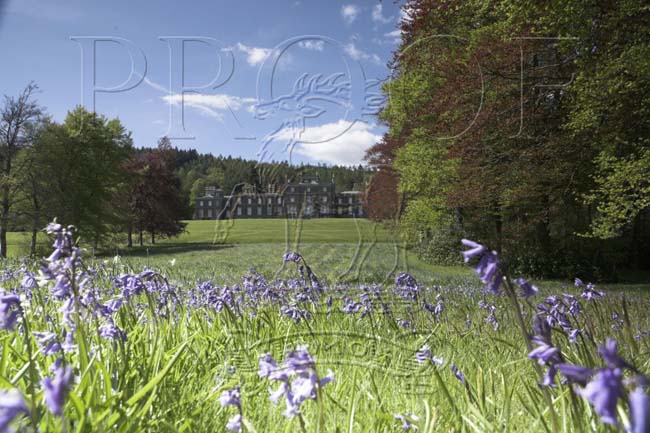 BOWHILL_HOUSE_005
