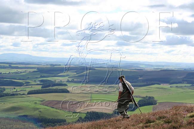 BOWHILL_LANDSCAPES_001