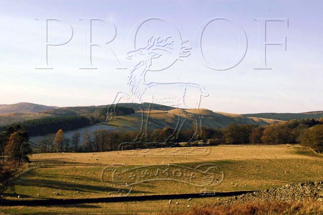 BOWHILL_LANDSCAPES_005