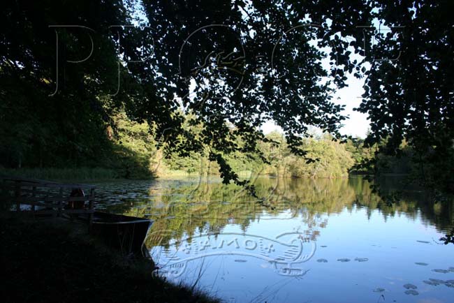 BOWHILL_LANDSCAPES_006